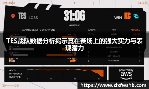 TES战队数据分析揭示其在赛场上的强大实力与表现潜力