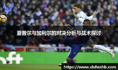 夏普尔与加利尔的对决分析与战术探讨